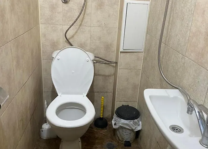 столет * Varna